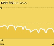 전력 도매가격, 상한제 도입 앞두고 급등 조짐