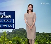 [날씨] 부산 밤까지 곳곳 소나기..내일도 폭염·열대야