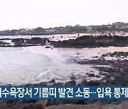 곽지해수욕장서 기름띠 발견 소동..입욕 통제