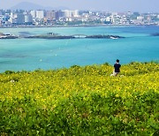 제주도 물가상승률은 이미 '금융 위기'.. 전년比 7.4%↑