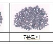 농관원, 쌀 도정 정도 판별하는 기술 개발·특허 등록