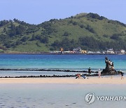 쪽빛 제주 바다의 낭만