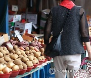 감자 가격 37.8% 올라