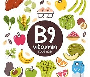 비타민 B9(엽산) 충분히 먹으면 고중성지방혈증 예방
