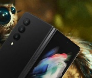 "카메라 거미 눈알 같다" 삼성 '접는폰' 신제품, 진짜 이래?