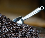 커피 생두 부가세 면제로 커피값 내린다?.."실효성 없어"