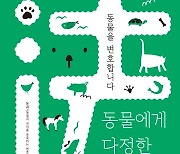[반려인의세계] 박세리, 유연석도 참여.. '개들의 지옥' 철거 후 벌어진 일