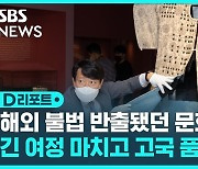 [D리포트] 해외 불법 반출됐던 문화재들..긴 여정 마치고 고국 품으로