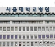 차기 서울대병원장 선출 본격화..8월 중순 마무리 전망