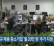 청년 신규 채용 중소기업 '월 20만 원' 추가 지원