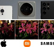 "꽃 사진, 누가 더 낫나요?" 삼성 vs 애플 vs 샤오미, 비교해보니