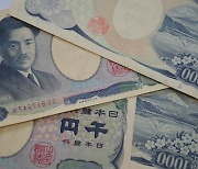 슈퍼 엔저 속 딜레마 빠진 일본 경제.."서서히 침몰할 것"