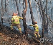 [강원소식] 강원소방, 봄·겨울 안전대책 우수기관 선정