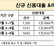 '또 연봉 이내로 묶일라'..규제 풀리자 신용대출 '쑥'