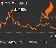 '지리산'으로 혹한기 보낸 에이스토리, '우영우'로 웃었다..약세장 속 고공행진