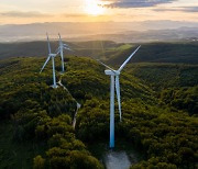 한화솔루션, 독일서 500MW 태양광 개발.."유럽 에너지 사업 확대"