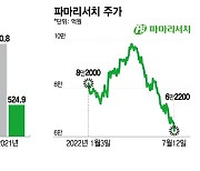 파마리서치, 52주 최저가 추락.."증시 침체 탓"이란 회사