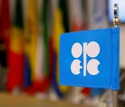 OPEC "내년 전 세계 석유 공급 일평균 100만배럴 모자라"