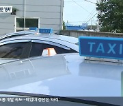 보조금 주고 법인택시 '감차'..개인택시는 '증차?'