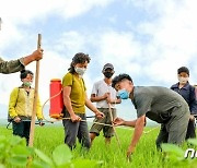 논벼 비배관리하는 북한 농민들.. "과학 농사법으로"