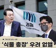 [그림사설] '식물 총장' 안될 사람 검찰총장으로 추천해야