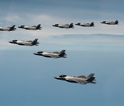 S. Korean, US F-35 stealth fighters stage first aerial drills