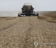 GEORGIA AGRICULTURE WHEAT HARVEST