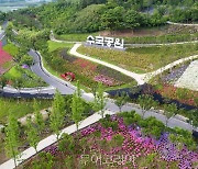 가을에도 수국향연 즐겨요! ..'섬 가을 수국축제' 9월 말 신안 도초도에서 열려