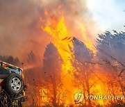 Europe France Wildfires