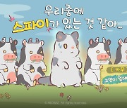 '고양이와 스프', 새로운 고양이 '카우' 등장