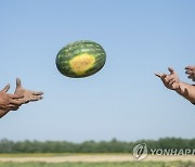 HUNGARY AGRICULTURE