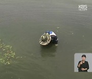 낙동강 보 모두 녹조 '경계'..수돗물 비상