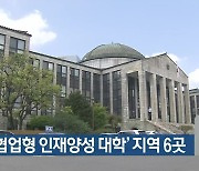 '정부 협업형 인재양성 대학' 지역 6곳