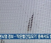 일본뇌염 경보..'작은빨간집모기' 충북서도 발견