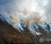 SPAIN FOREST FIRE