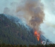 SPAIN FOREST FIRE