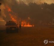 Greece Wildfire