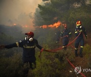 Greece Wildfires