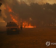 Greece Wildfires