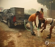 Greece Wildfires