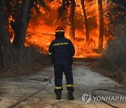 Greece Wildfires