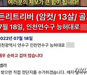 "13년 키운 반려견 실종 후 건강원 보약으로..미쳐 죽을 것 같다"