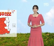 [날씨] 대구·경북 내일 더 덥다!..낮 최고 34도 '무더위 기승'