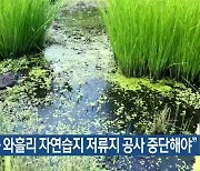 "조천읍 와흘리 자연습지 저류지 공사 중단해야"