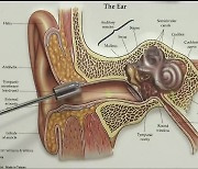 [날씨와 생활] 물놀이 후 귀가 답답하다면…외이도염 의심!