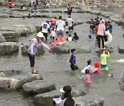 [날씨] "무더위 식혀요"..정남진 장흥 물 축제 개막