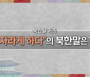 [북한말 한마디] '자라게 하다'의 북한말은?