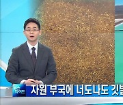 전쟁이 따로 없다..자원 부국에 너도나도 깃발 꽂기 경쟁