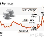 1만7750원→8380원 '폭락' 전 '무한도전' 나왔던 임원, 싹 팔았다