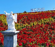 전남 관광 '소셜 아이 어워드 3관왕' 차지..SNS 우수성 뽐내